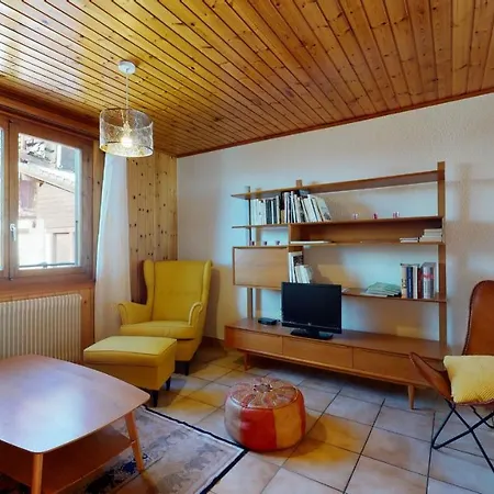 3.5p Flat, Cosy And Functional, 10min From The Ski Slopes