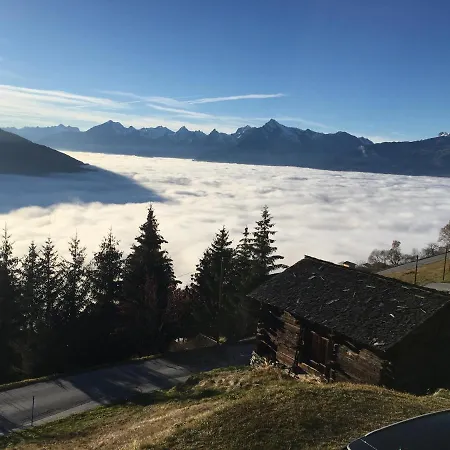 3.5p Flat, Cosy And Functional, 10min From The Ski Slopes *