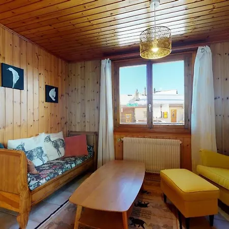 3.5p Flat, Cosy And Functional, 10min From The Ski Slopes *